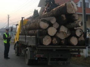 transport-lemn