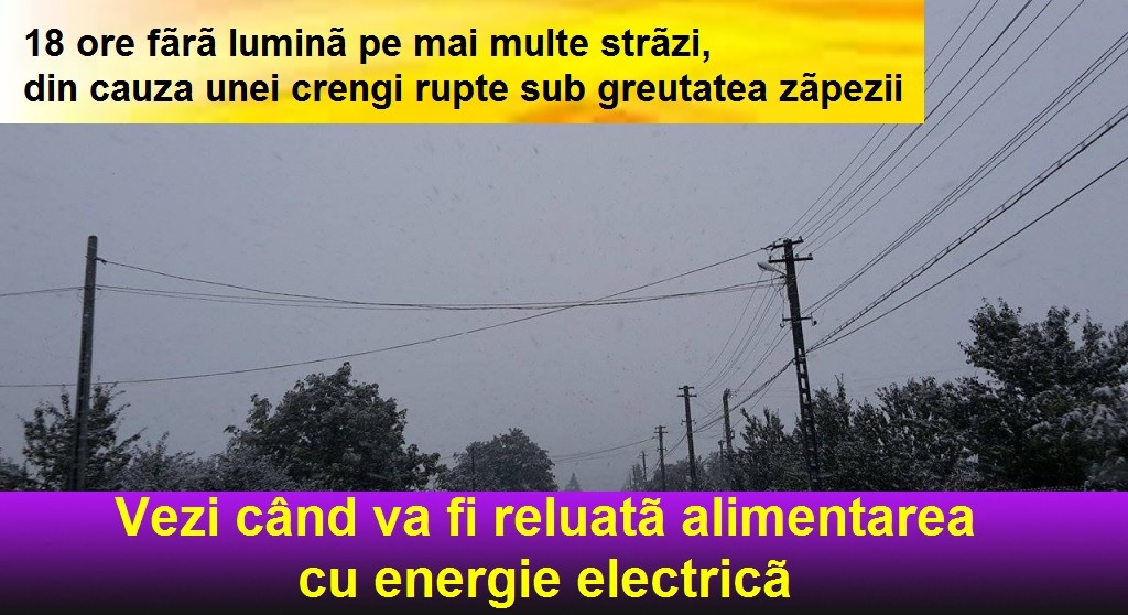 stalp-electricitate-drum-ninsoare-zapada-iarna-2
