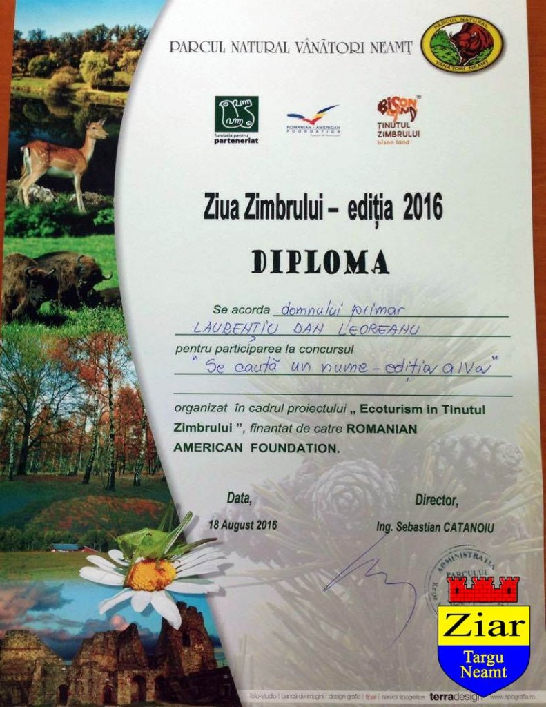 diploma leoreanu