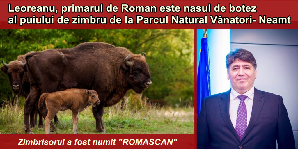 leoreanu nas pentru zimbru